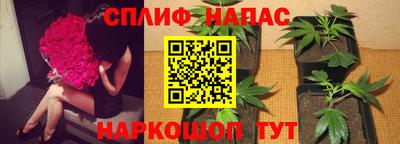 a pvp Чебоксары