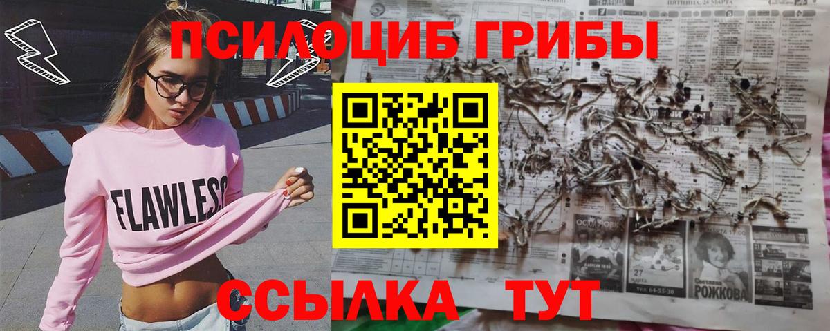 Галлюциногенные грибы GOLDEN TEACHER  Вход с VPN  Бугуруслан 